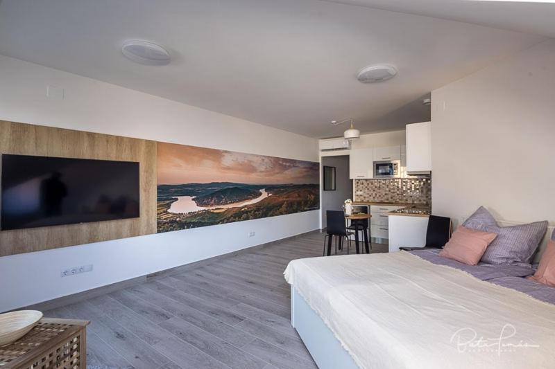 Stafetahaz Apartmanok Vác エクステリア 写真